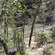 Illustration for article titled Last chance to hike Glen Onoko Falls